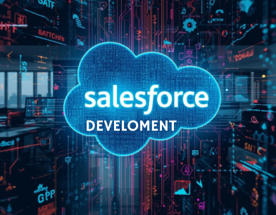 Salesforce Development Course
